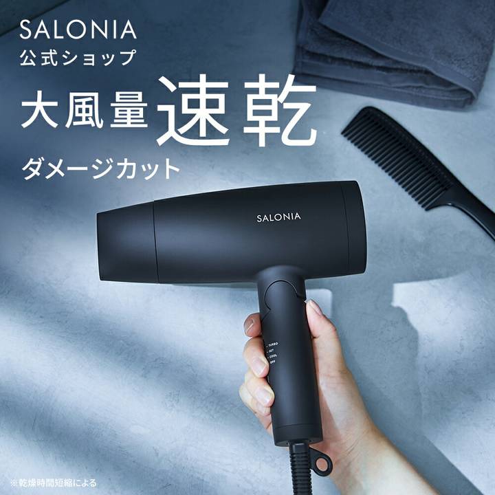 SALONIA スピーディーイオンドライヤー SL-013の商品写真